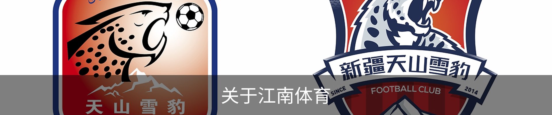 关于江南体育